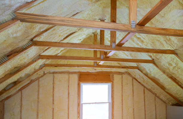 Best Insulation Maintenance and Repair in Mckenzie, TN