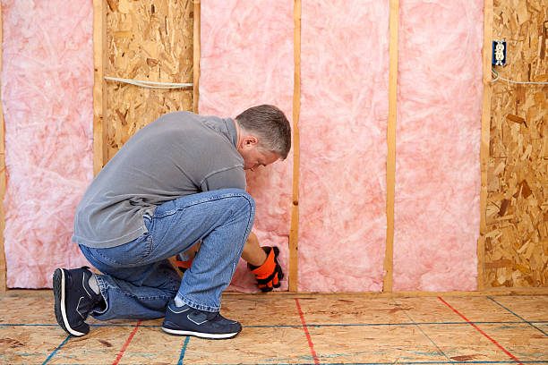 Types of Insulation We Offer in Mckenzie, TN
