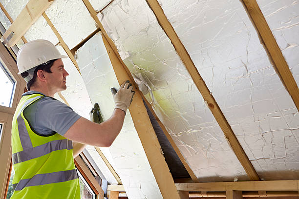 Best Residential Insulation in Mckenzie, TN