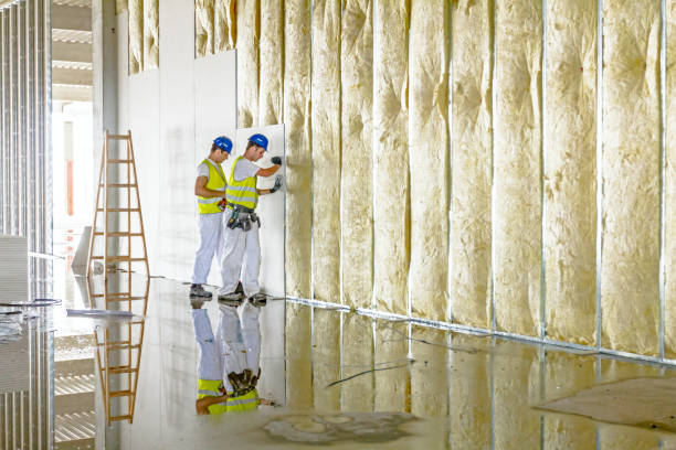 Best DIY Insulation Kits and Guidance in Mckenzie, TN